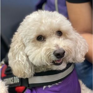 Meet your Posher, Jacqueline